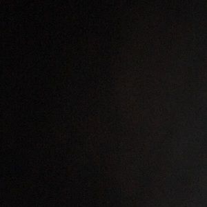 Meet your Posher, Trayton